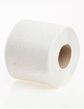 Standard Toilet Roll 2 Ply 320 Sheets White 9 x 4